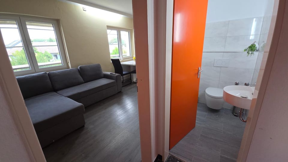 Toilet, Living room