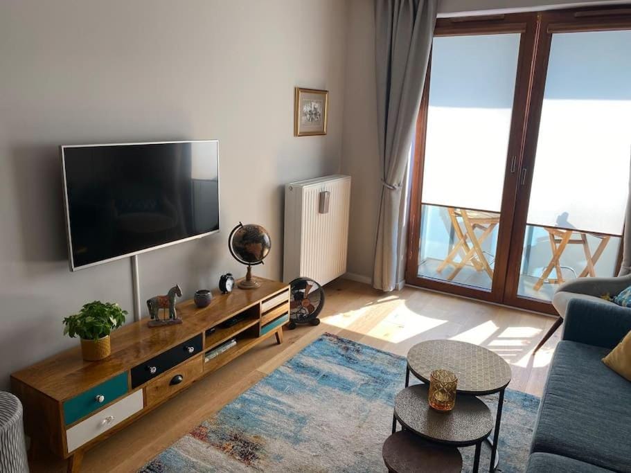 TV and multimedia
