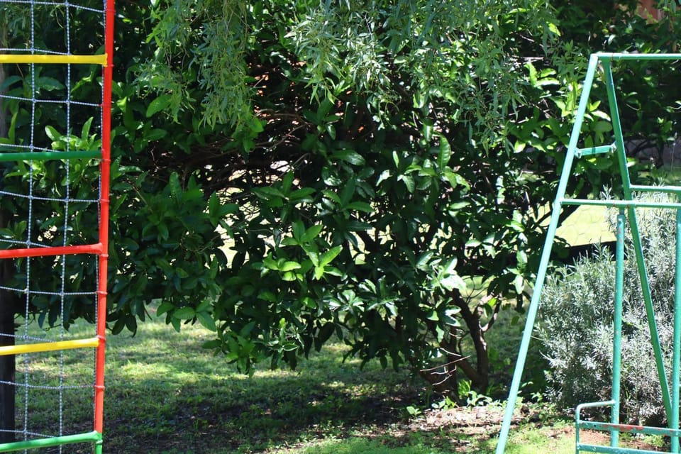 Olive Tree Farm Bed and Breakfast in Gauteng