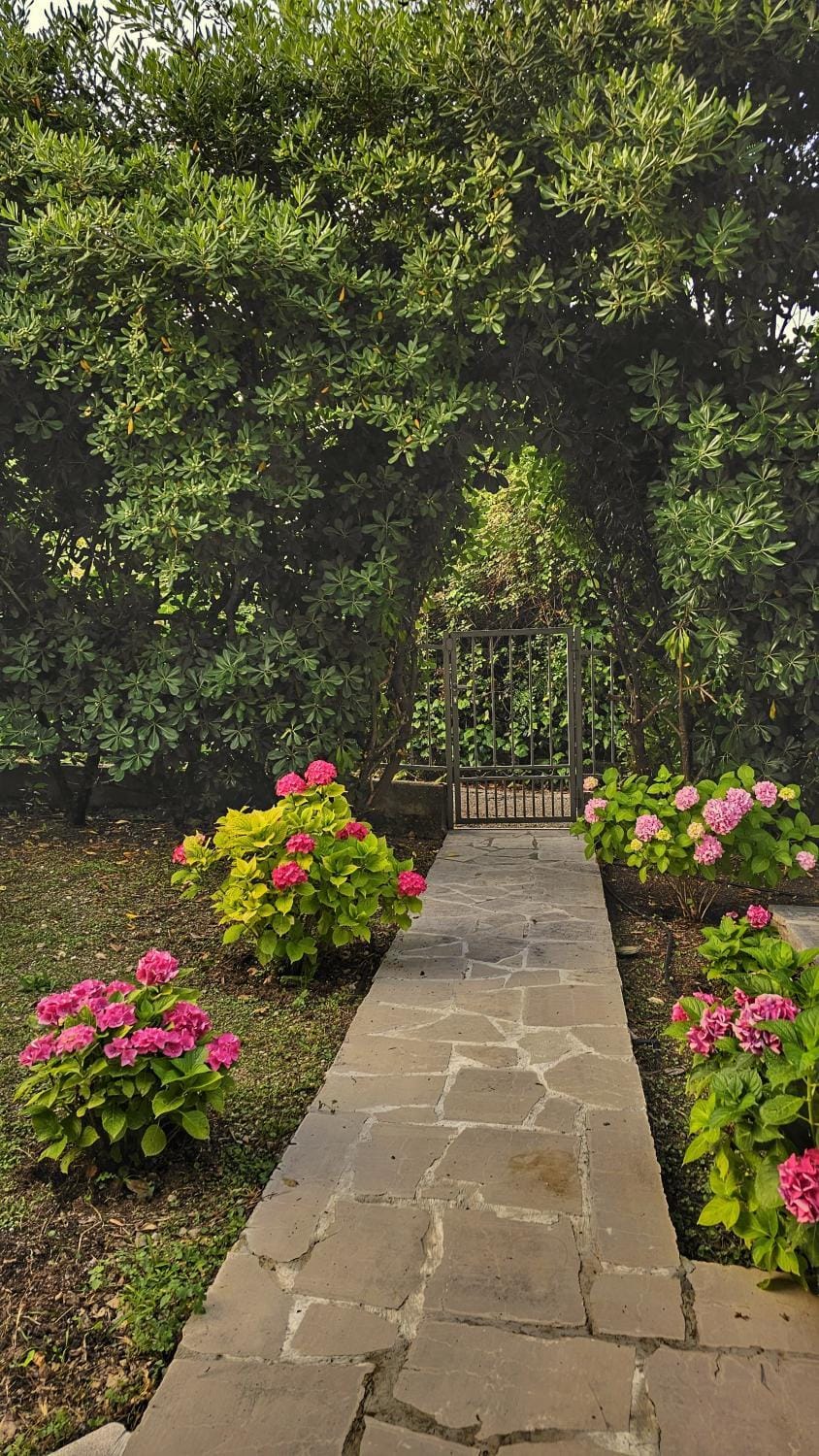 Garden, Garden view