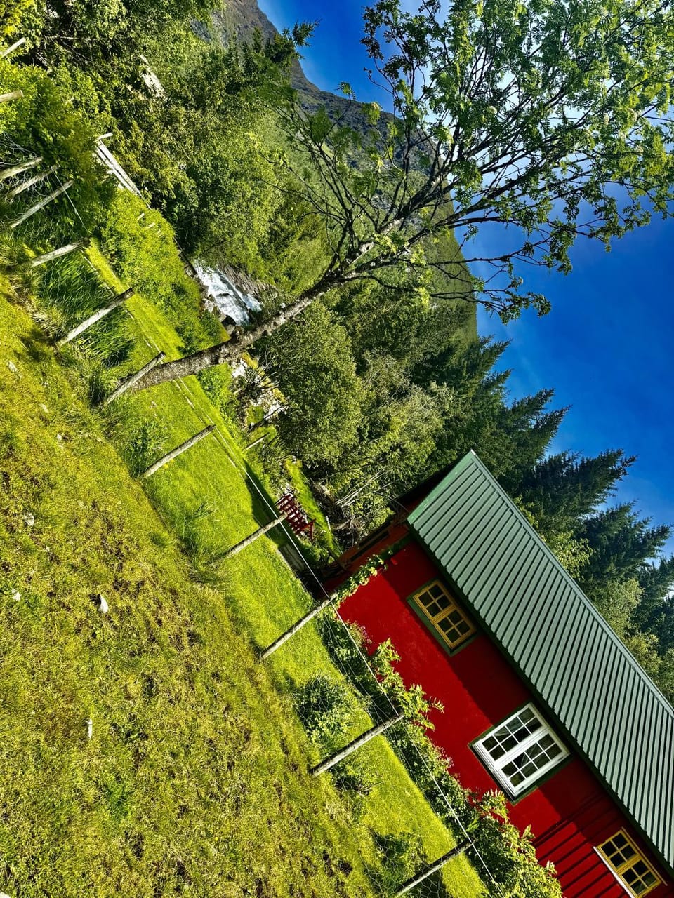 Spring, Day, Natural landscape, Garden, Garden view