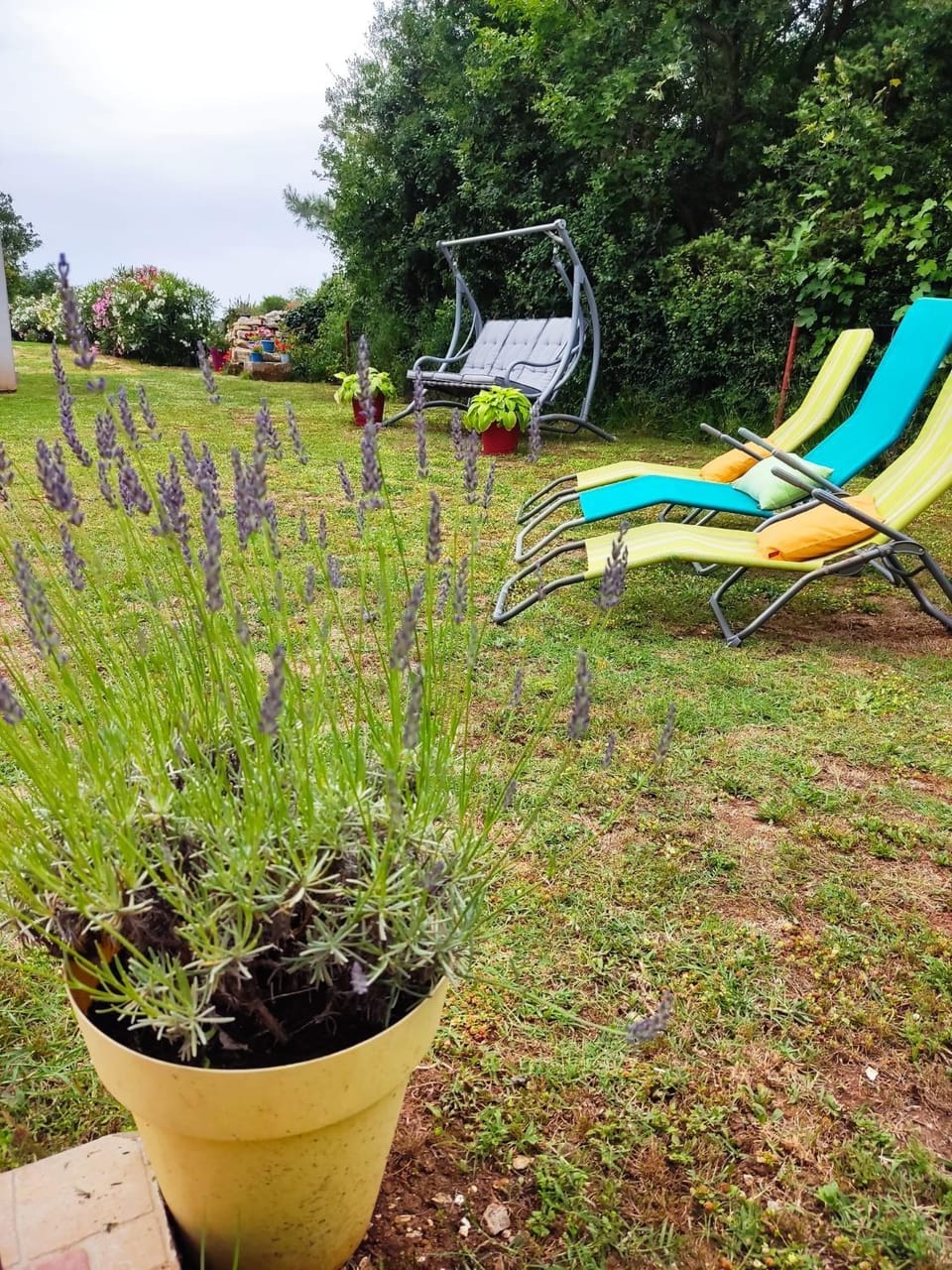 Garden, Balcony/Terrace