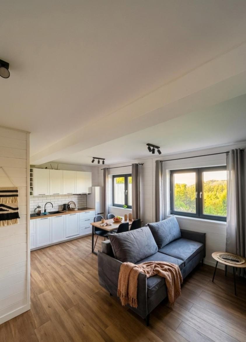 Kitchen or kitchenette, Living room, Photo of the whole room, Seating area, Dining area