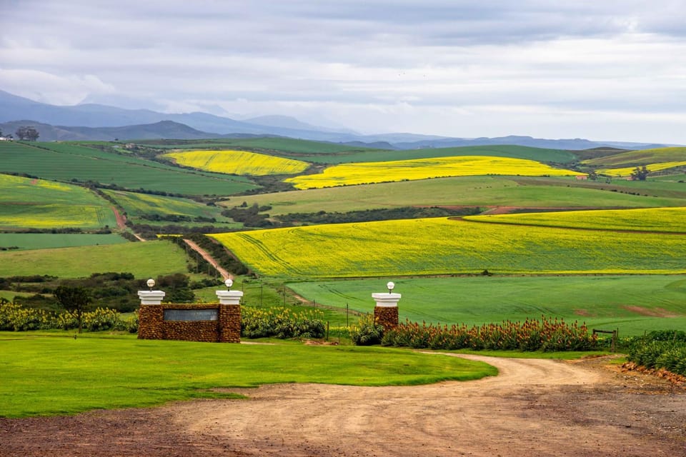 Natural landscape, Mountain view