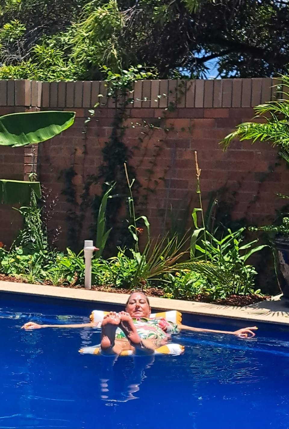 Garden, Swimming pool