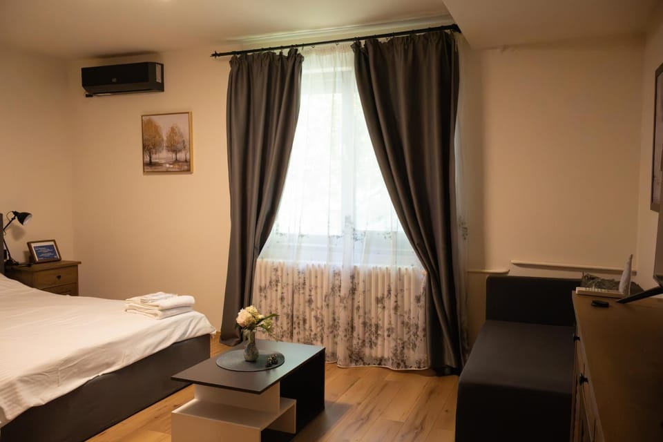 AleA Central Studio Art Museum Apartment in Craiova