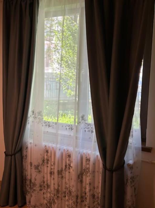 AleA Central Studio Art Museum Apartment in Craiova