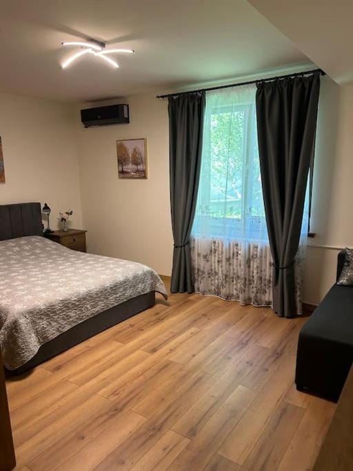 AleA Central Studio Art Museum Apartment in Craiova