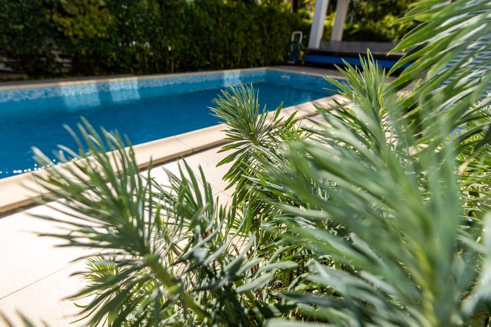 Garden, Swimming pool