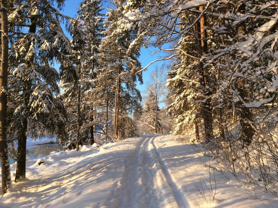 Winter, Other