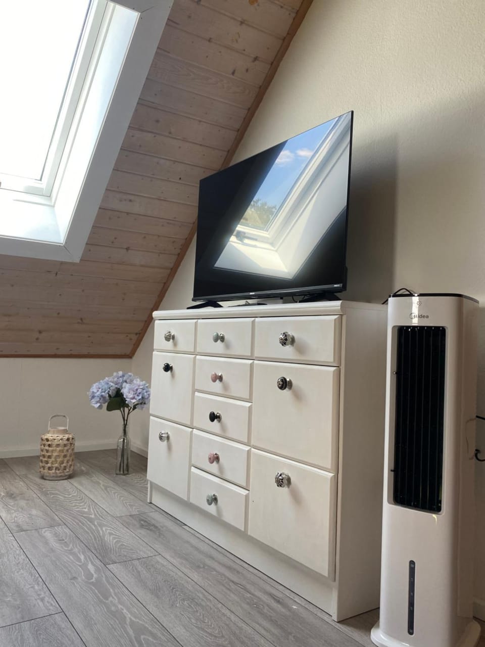 TV and multimedia