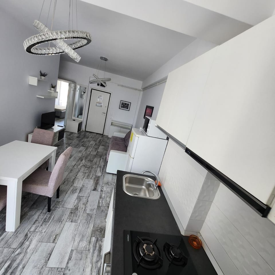 Kitchen or kitchenette, Living room, Seating area, Dining area, oven, stove