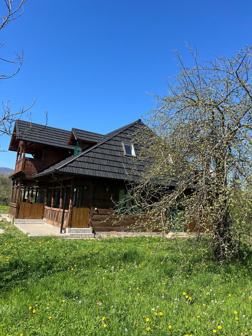 Property building, Spring, Day, Natural landscape, Garden, Garden view
