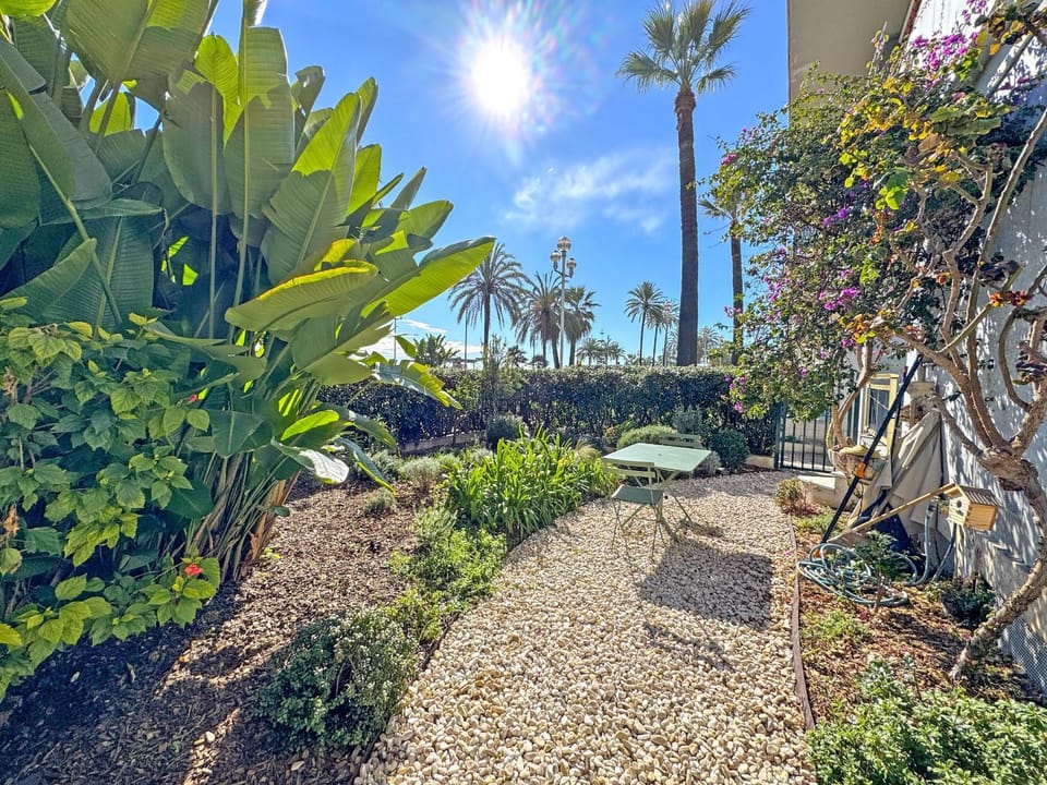 Patio, Garden, Garden view