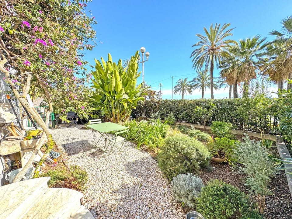 Patio, Garden, Garden view