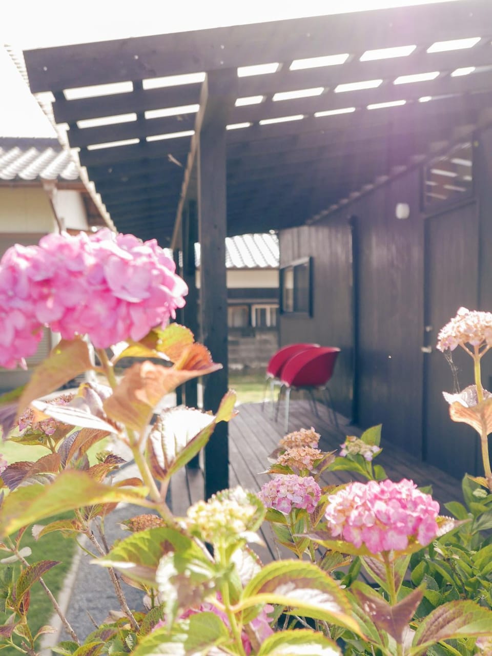 Garden view