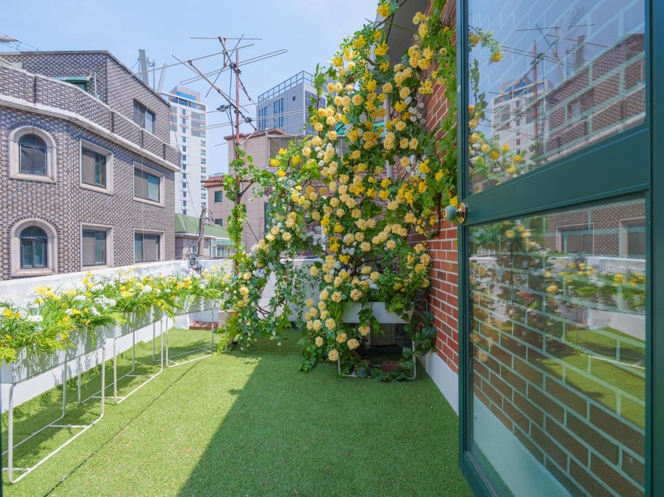 Patio, Balcony/Terrace