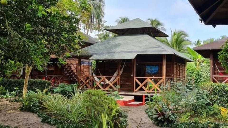 Property building, Garden, Garden, Garden view