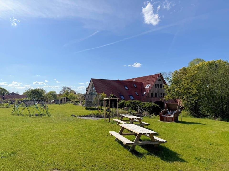 Garden, Garden view, sunbed
