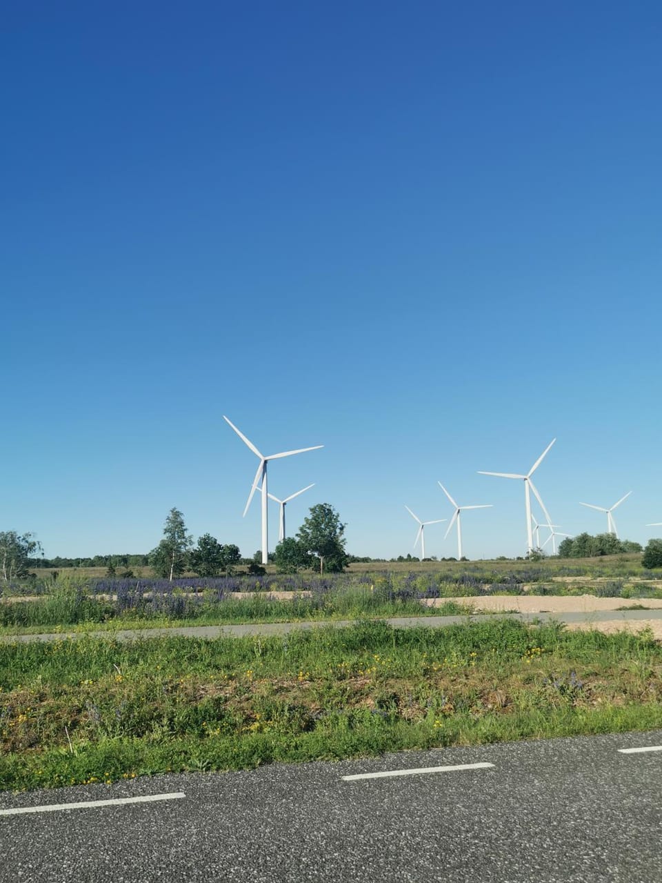 Nearby landmark, Other