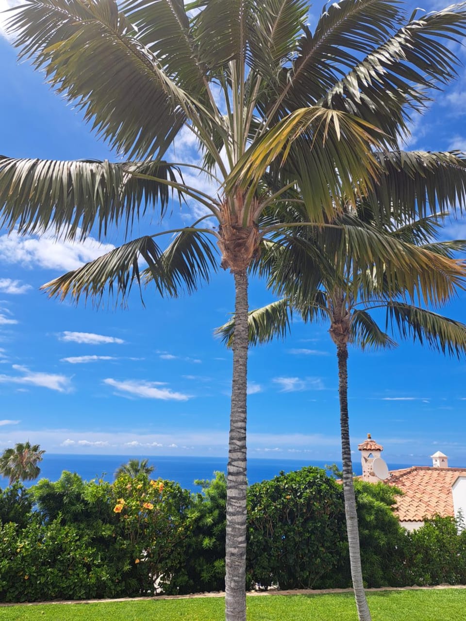 Day, Natural landscape, Garden, Garden view, Sea view