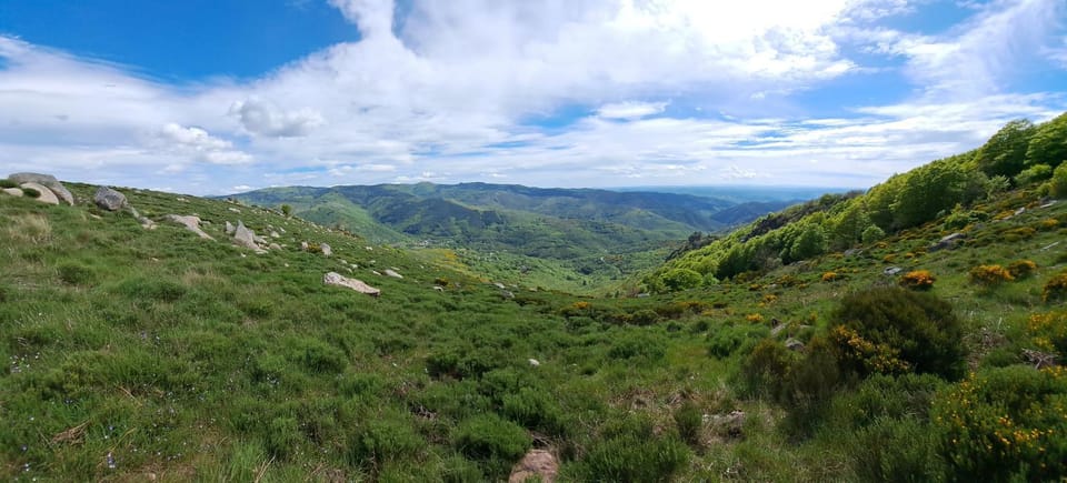 Natural landscape