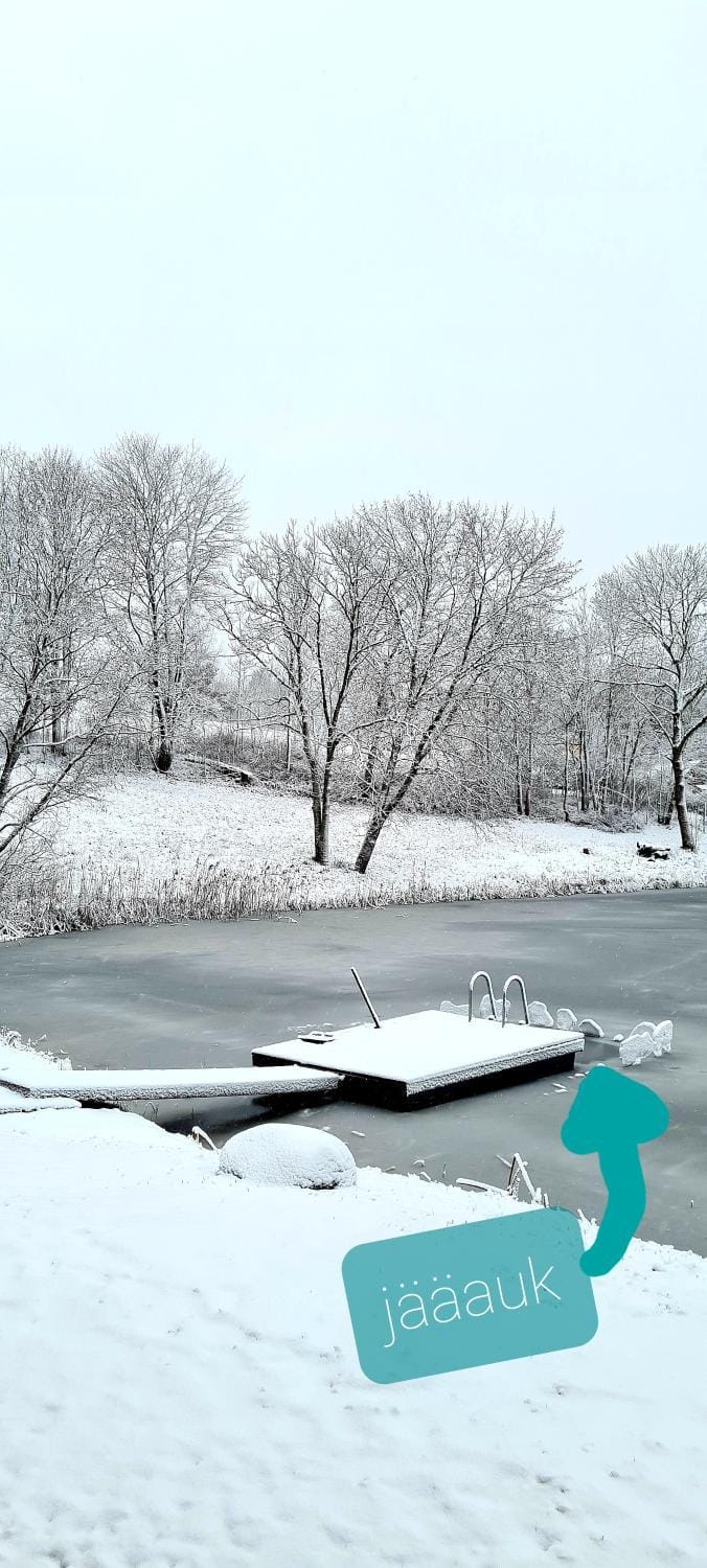 Lake view