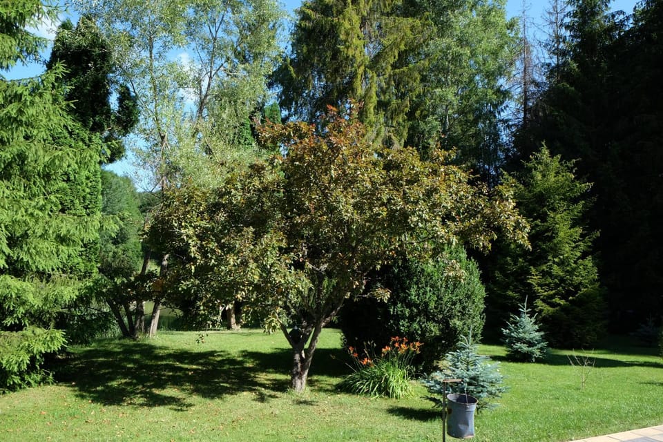 Sebesvi­z Panzió Bed and Breakfast in Hungary