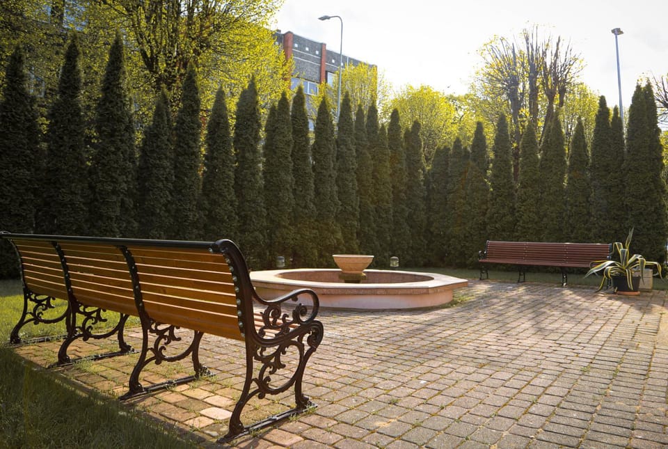 Garden, Garden, Garden view