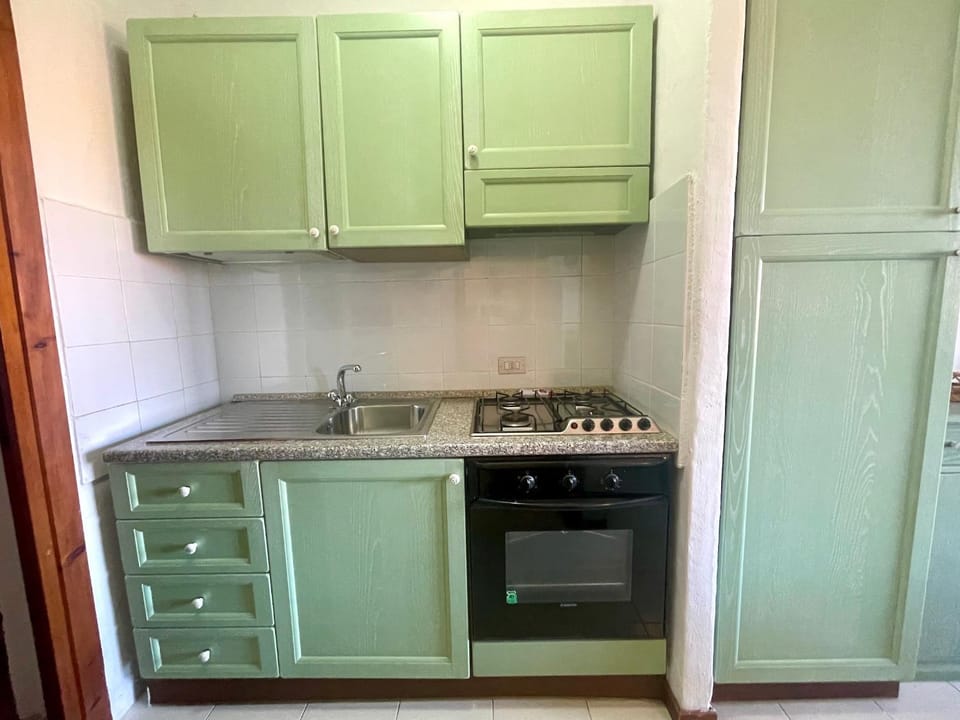 Kitchen or kitchenette, dishwasher, oven