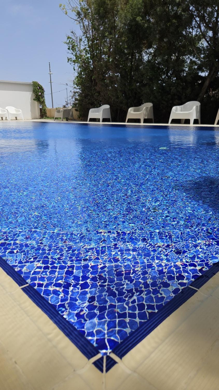 Day, Pool view, Swimming pool, sunbed
