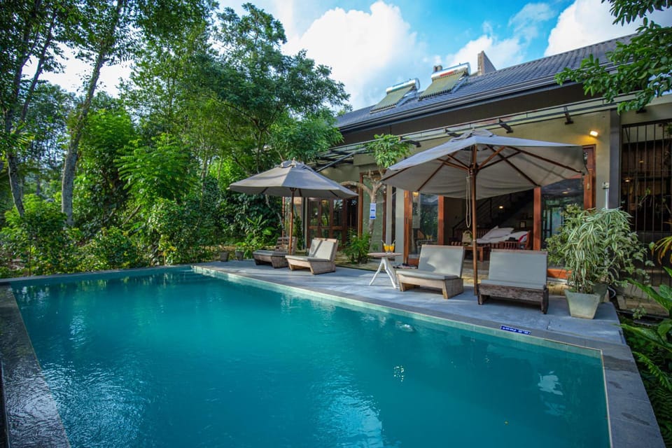 Pool view, Swimming pool, sunbed