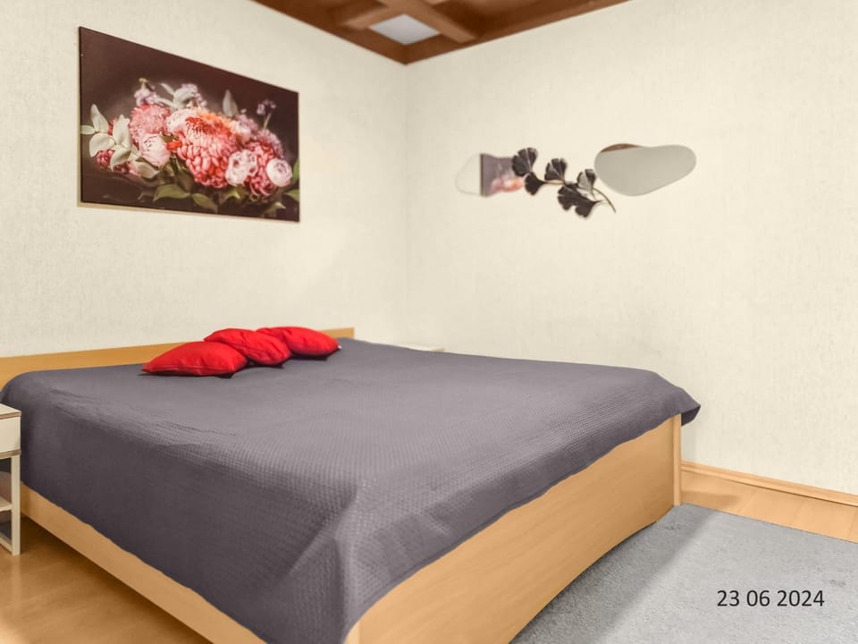 Four-Bedroom, Four King-Size Comfort Apartment in Vienna