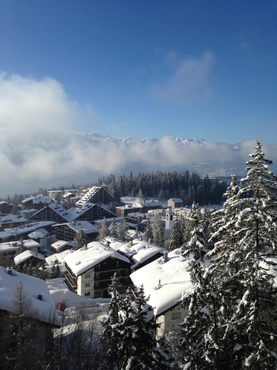 Mountain view