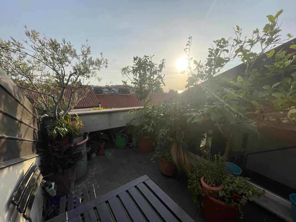Balcony/Terrace, City view, Sunset