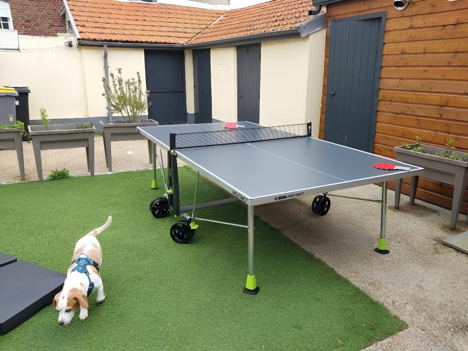 Garden, Table tennis