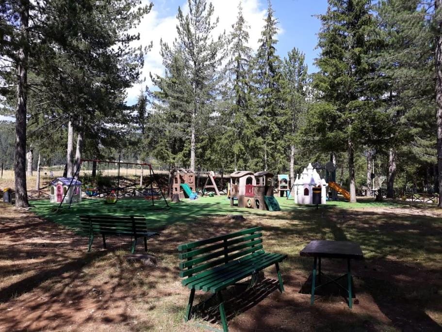 Children play ground