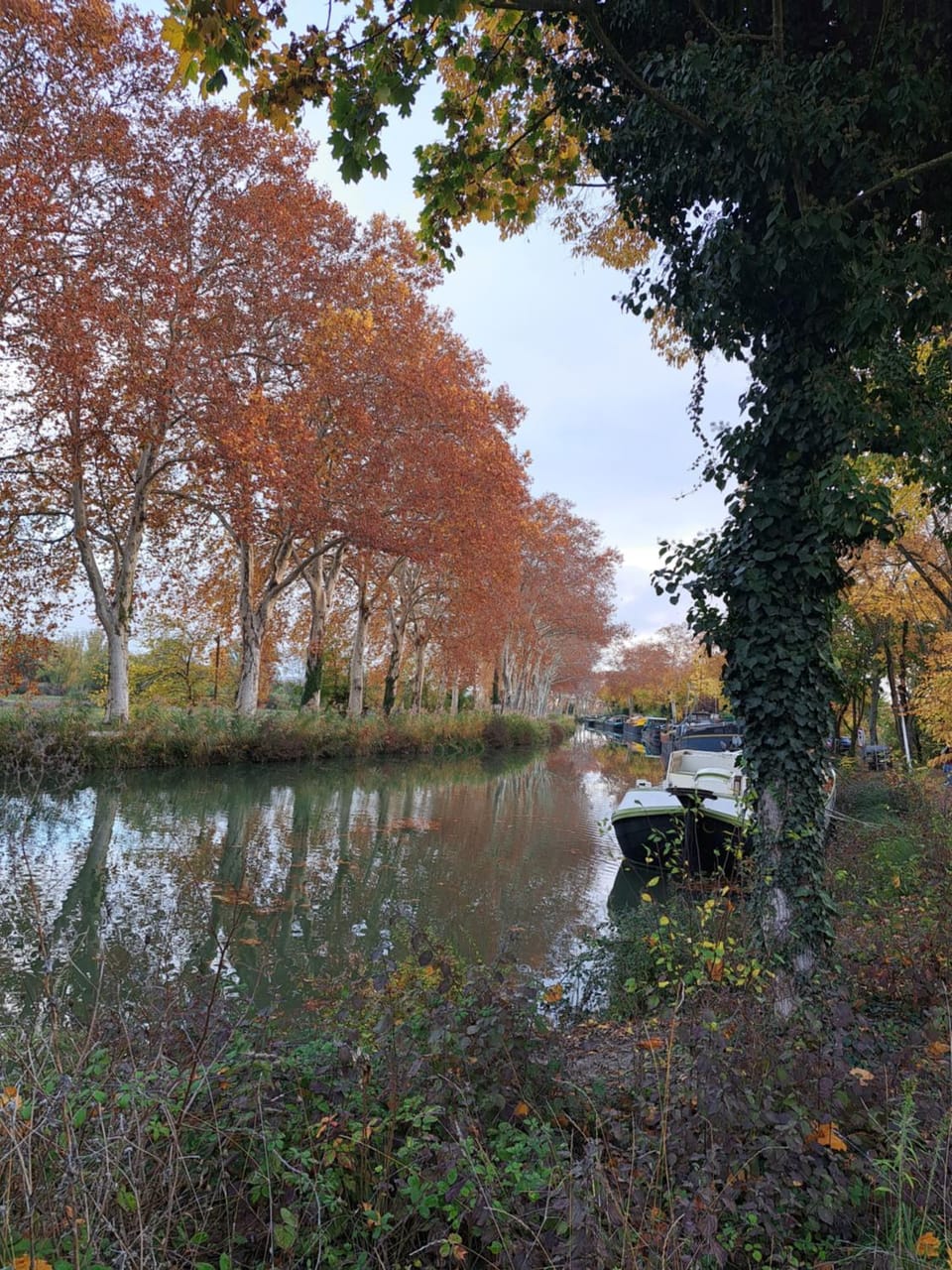 Natural landscape