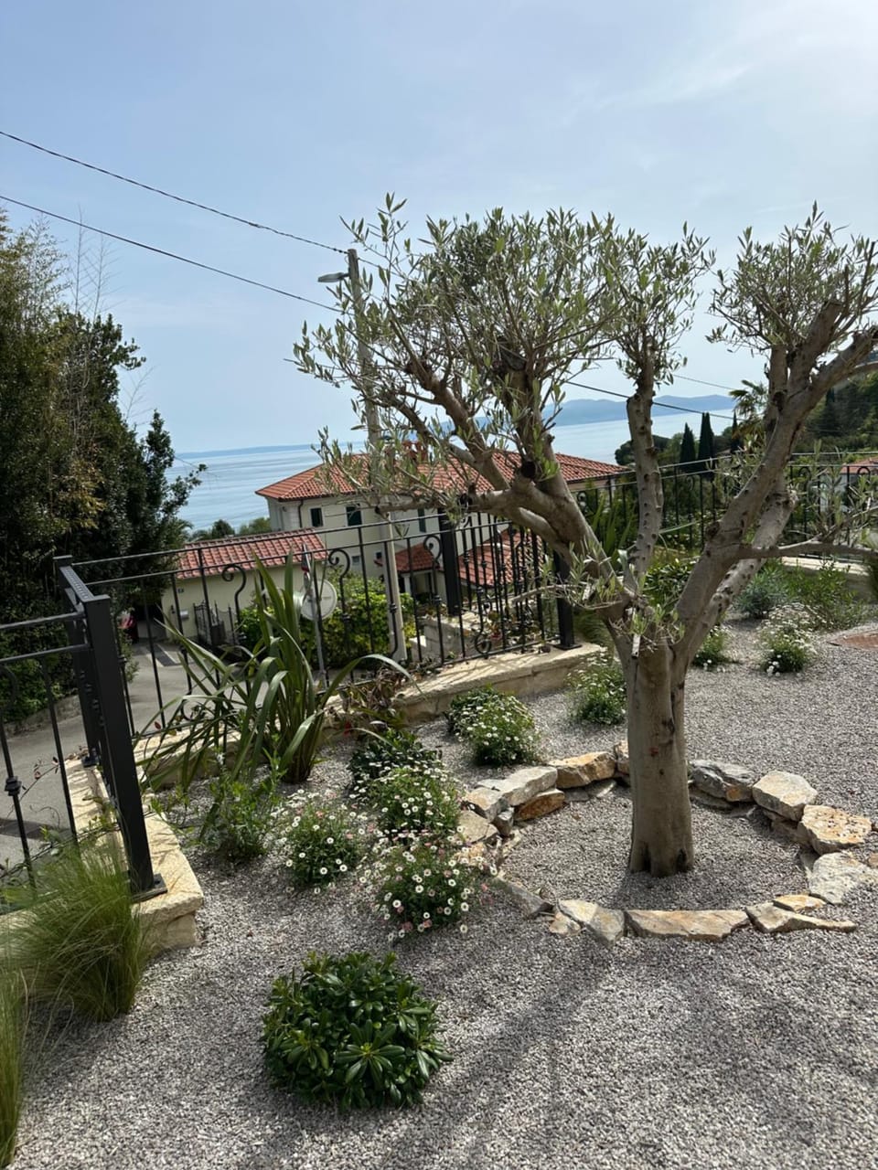 Garden, Garden view