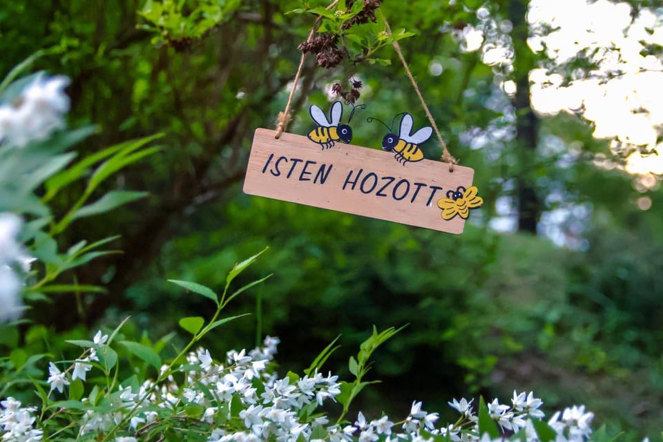 Spring, Day, Natural landscape, Garden, Text overlay, Garden view