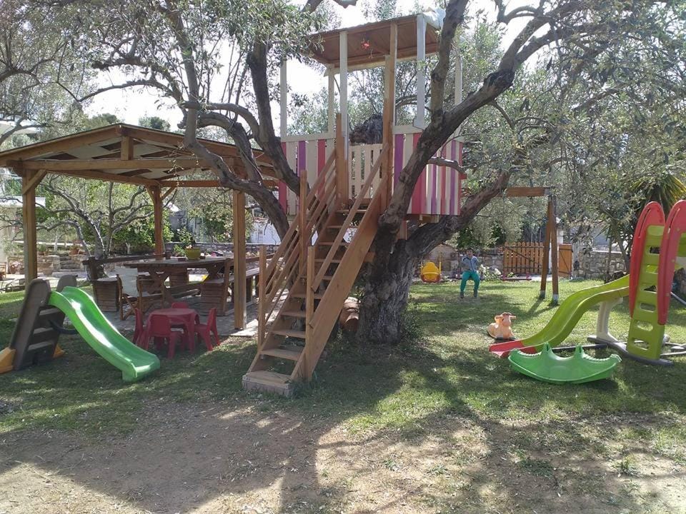 Children play ground