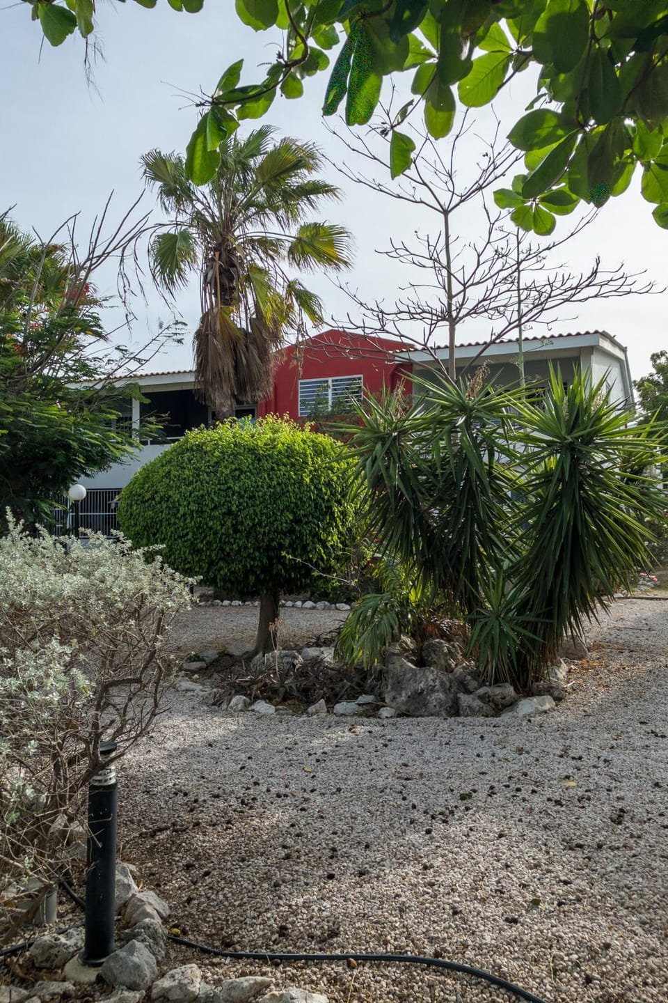 Garden view
