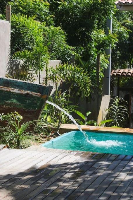 Garden, Garden view, Pool view, Swimming pool