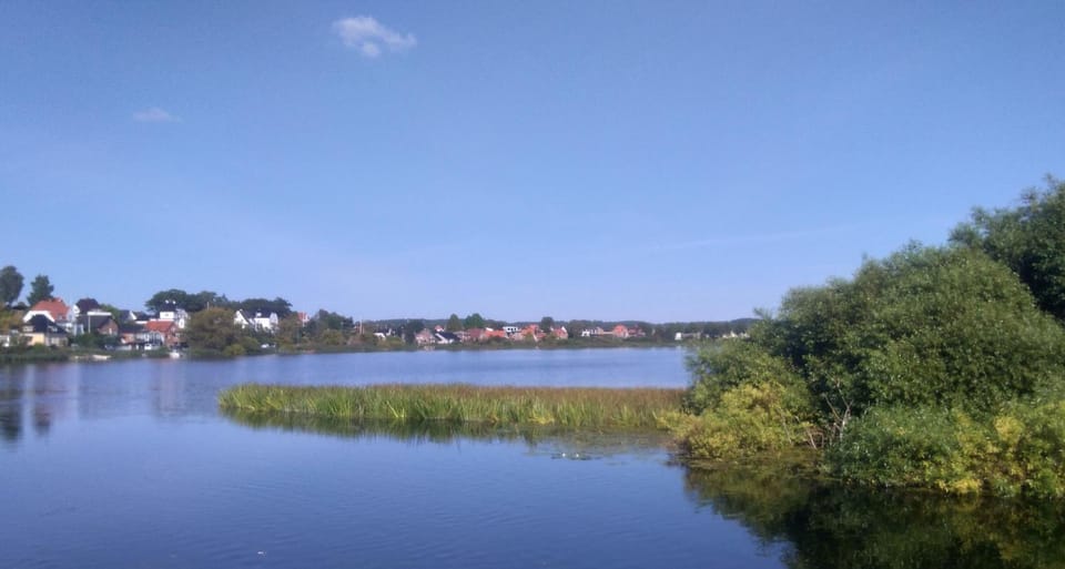 Lake view