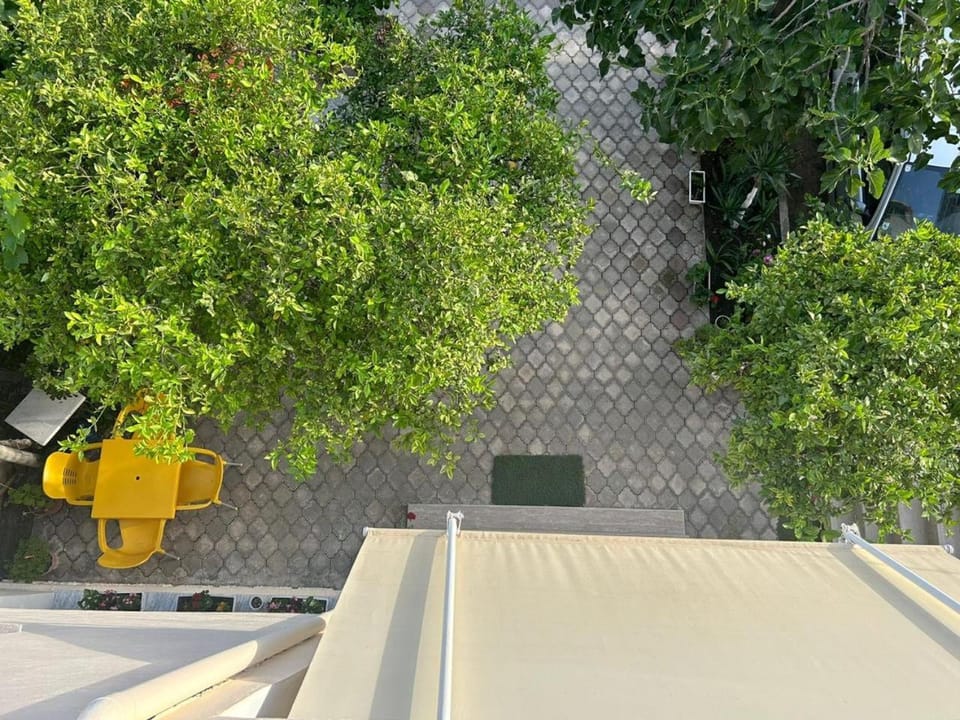 Garden, Garden view
