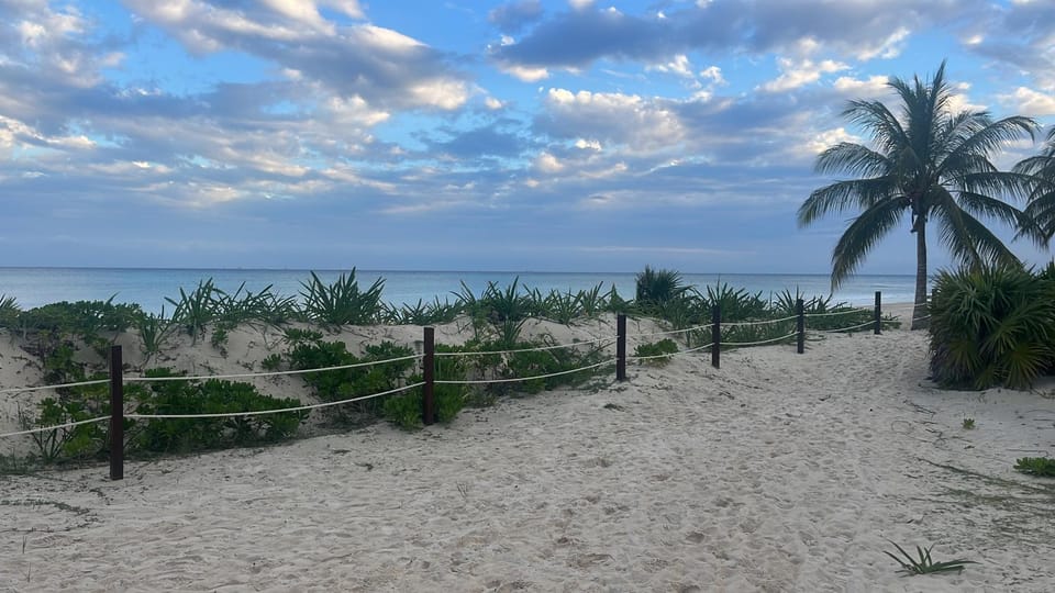 Sea view