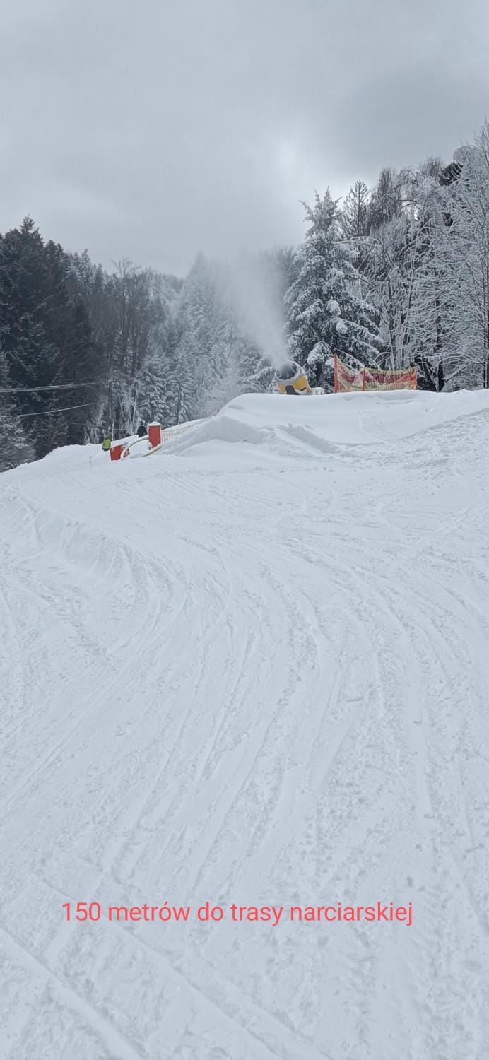 Natural landscape, Skiing