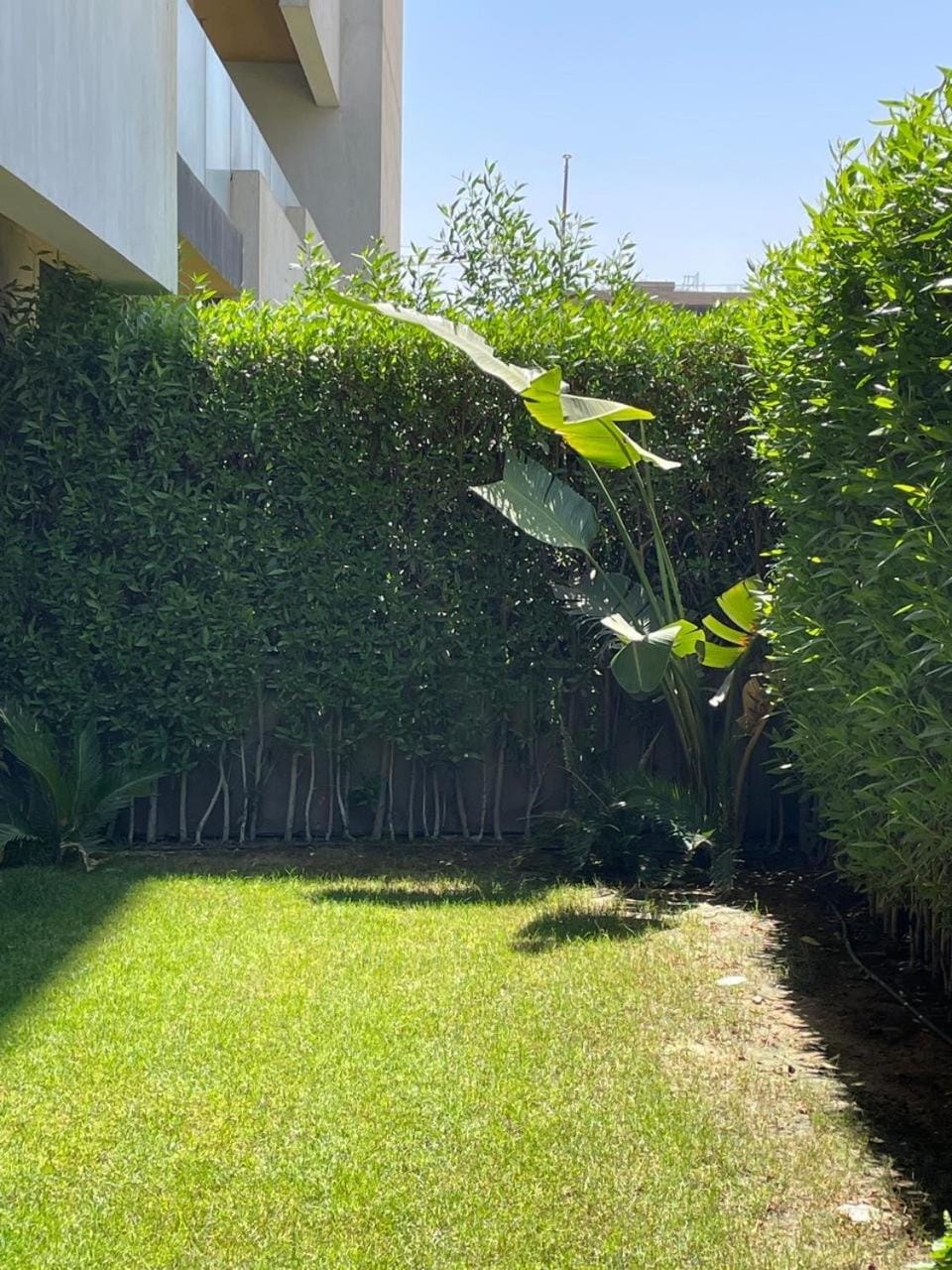Natural landscape, Garden, Garden view