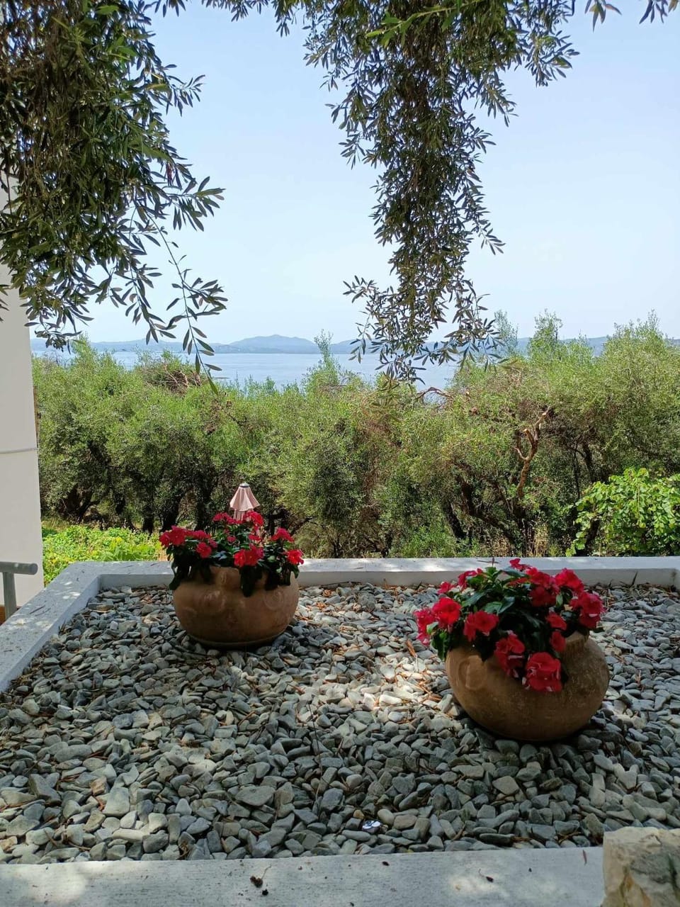 Lemon Tree House Apartment in Corfu, Greece