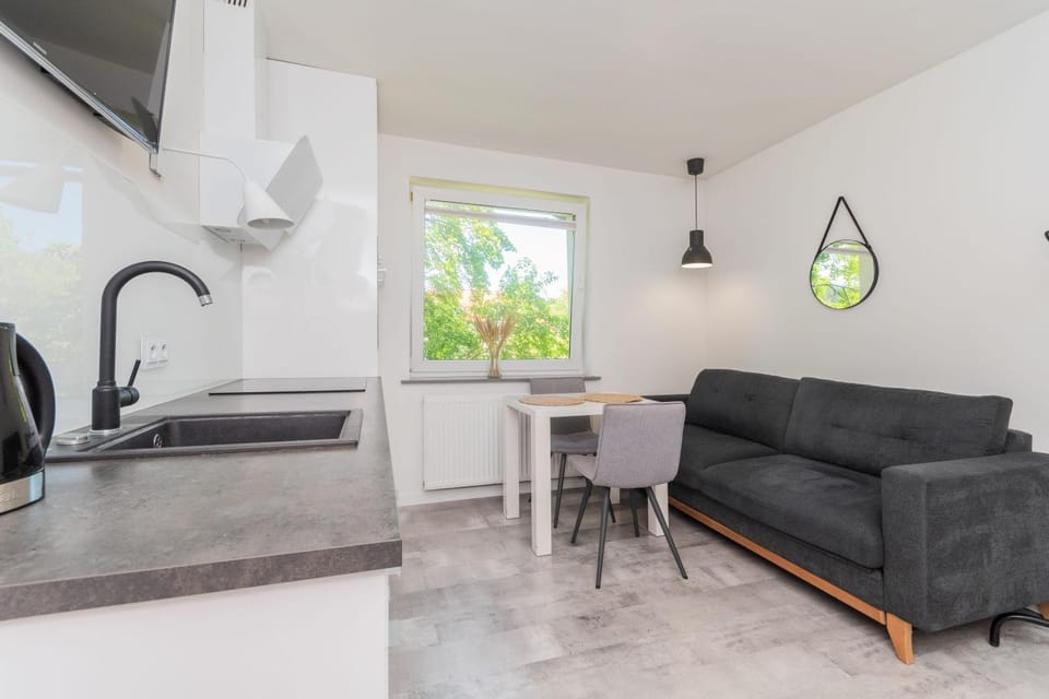 Kitchen or kitchenette, Living room, Seating area, Dining area, stove